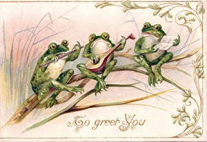 Anthropomorphism Collection: Three frogs playing music on a greetings postcard