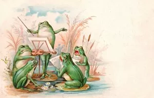 Frog Gallery: Four frogs playing and singing on a greetings postcard