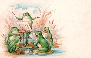 Images Dated 2nd November 2015: Four frogs playing and singing on a greetings postcard