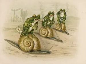 Frogs Race on Snails