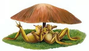 Images Dated 3rd November 2015: Three frogs under a toadstool on a Victorian scrap