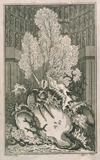 Algal Gallery: Frontispiece of Catalogue Raisonne d une collection