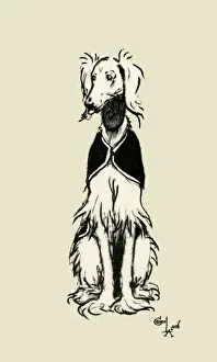 Frontispiece illustration by Cecil Aldin, an Afghan Hound