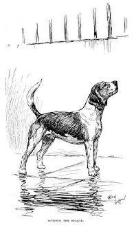 Frontispiece illustration by Cecil Aldin, Hotspur the Beagle