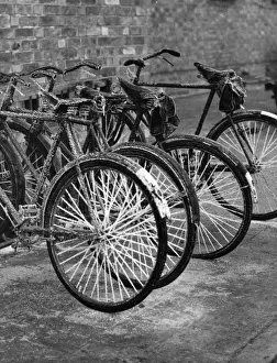 Hoar Prints: FROST BIKE