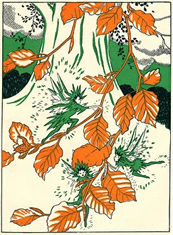 Cuckoo Prints: The Frost Fairies