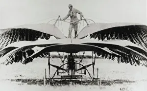 Wing Collection: Frost Ornithopter