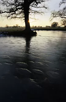 Frozen Gallery: Frozen pond with back light, Church Eaton, Staffordshire