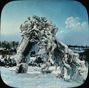 Snow Covered Prints: Frozen Trees - Prospect Park, Niagara, NY State, USA