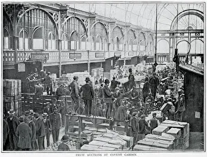 Crate Prints: Fruit auctions at Covent Garden 1900