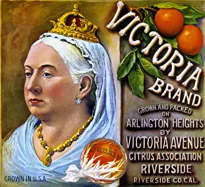 Heights Prints: Fruit Box Label, Victoria Brand California Oranges
