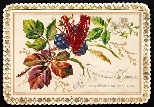 Blackberries Prints: Fruit and flowers on a Christmas card