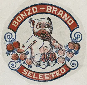 Select Prints: Fruit Label -- Bonzo Brand