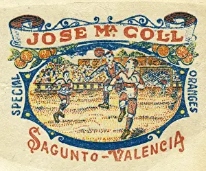 Fruit Label -- Jose MaColl, Valencia oranges