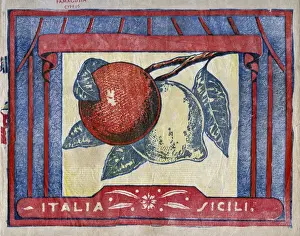 Fruit Label -- oranges and lemons