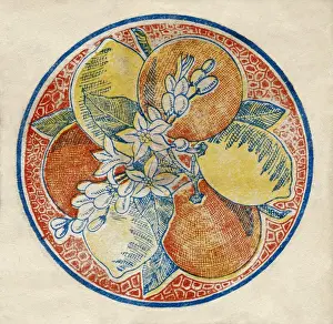 Fruit Label -- oranges and lemons