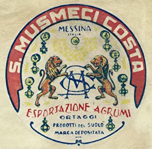 Citrus Collection: Fruit Label --s Musmeci Costa, Messina, Sicily