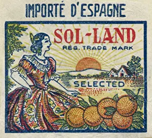 Fruit Label -- Sol-Land oranges