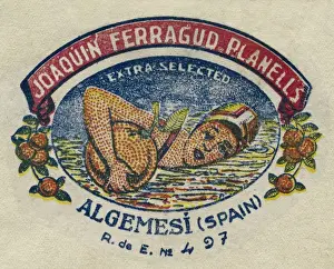 Fruit Label -- Spanish oranges