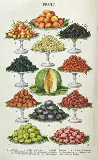 Fruit Gallery: Fruit on Platters 1907