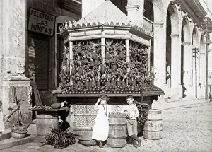 Cuba Prints: A fruit stand, Havana, Cuba, circa 1900