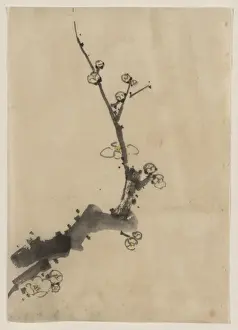 Fruit tree branch with blossoms
