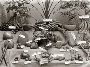 Fruit varieties, probably Singapore, circa 1880s