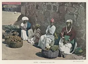 Fruit Vendors / Brazil