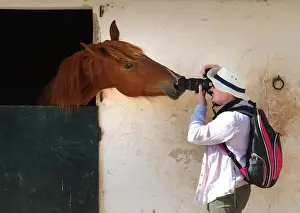 Curiosity Prints: Frustrated photographer at trotting races, Mahon, Menorca