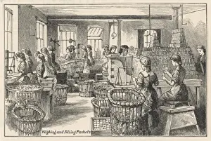 Frys Factory - Weighing
