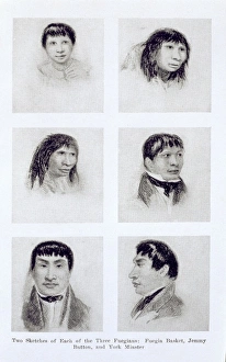 Three Fuegians: Fuegia Basket, Jemmy Button and York Minster. Jemmy Button is centre right portrait. Taken from Charles Darwin: The Man and his Warfare Fuegians