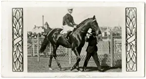 Jockeys Prints: Fuji San, Australian race horse