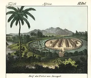 Fulier village in Senegal, showing rows of