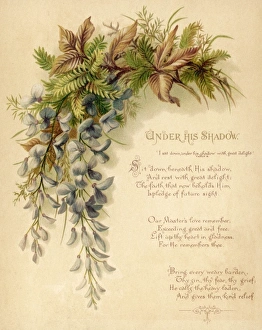 Accompaniment Gallery: Fulness of Joy Plate 10