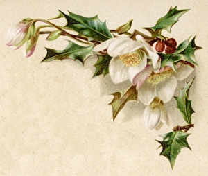Accompaniment Gallery: Fulness of Joy Plate 31