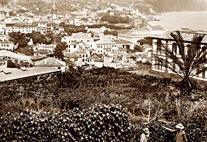 Funchal, Madeira