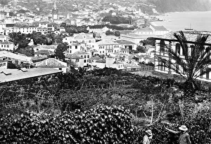 Funchal, Madeira, Victorian period