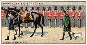 Saddle Collection: Funeral of Edward VII, with favourite dog