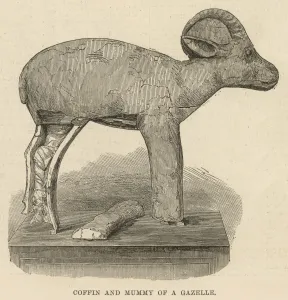 Funerary equipment of Queen Isa-em-Kheb:a mummified gazelle Funerary equipment of Queen Isa-em-Kheb:a mummified gazelle