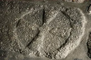 Tombstone Prints: Funerary relief. Cross. Stone inside the Church of Sao Migue