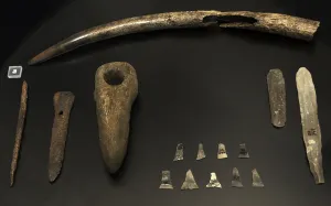 Antler Gallery: Funerary trappings of a mans grave at Dragsholm. 3800 BC