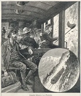 Funicular Prints: Funicular Butterflies