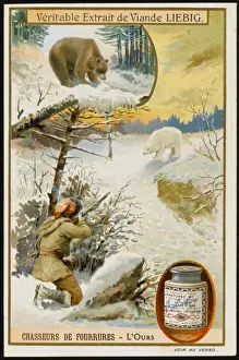 Fur - Bear Hunting