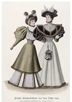 Gigot Prints: Fur-Edge Skirt 1894