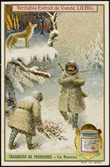Fur Hunting - Fox