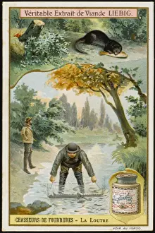 Fur - Otter Hunting