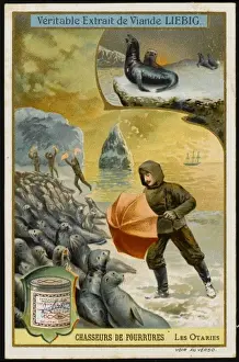 Coasts Prints: Fur - Seal Hunting