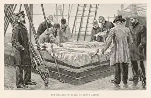 Fur Trading in Argentina