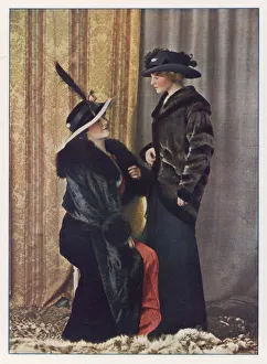 Furs/Grunwaldt/ Plate 3