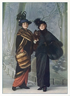 Furs/Grunwaldt/ Plate 3
